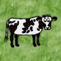 Domestic Cow.jpg