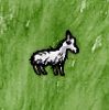 Domestic Lamb.jpg