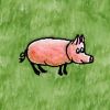 Domestic Pig.jpg