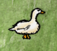 Domestic Goose.png
