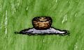 Ashes with Bowl.jpg