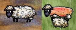 Domestic Sheep Stages.jpg