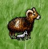 Domestic Mouflon with Lamb.jpg